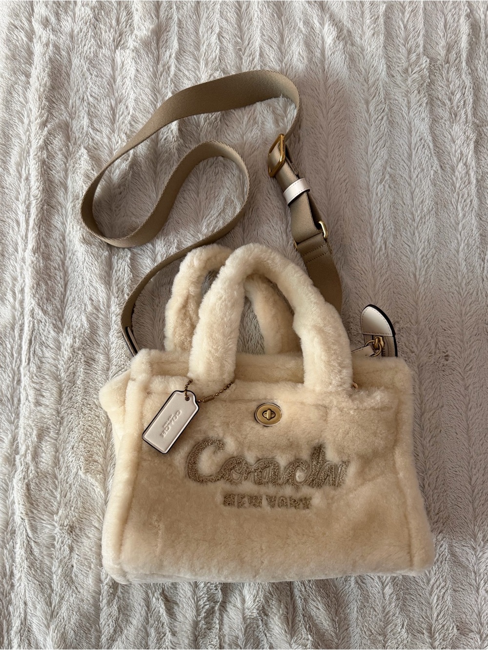 Coach Women's Cargo Tote 26